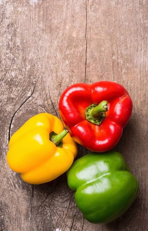 Seeds Sweet Bell Pepper Rainbow Mix Non GMO Vegetable for Planting