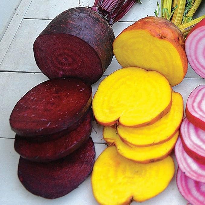 Park Seed Beet Vegatable Plant Seeds, Easy to Grow, Variety of Colors, Spring Garden, Rainbox Mix, Pack of 200