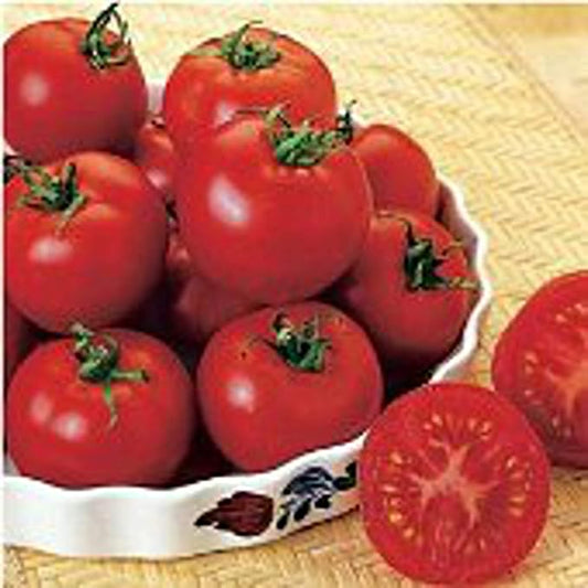 Russian Red Tomato Seeds (20+ Seeds) | Non GMO | Vegetable Fruit Herb Flower Seeds for Planting | Home Garden Greenhouse Pack