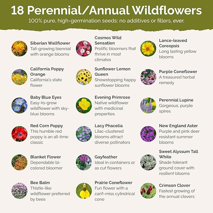 Eden Brothers The Bees Knees Wildflower Mixed Seeds for Planting, 5 lb, 2,400,000+ Seeds with Siberian Wallflower, Cosmos | Attracts Pollinators, Plant in Spring or Fall, Zones 3, 4, 5, 6, 7, 8, 9, 10