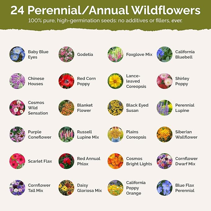 Eden Brothers Idaho Wildflower Mixed Seeds for Planting, 1 oz, 30,000+ Seeds with Foxglove, Cosmos | Attracts Pollinators, Plant in Spring or Fall, Zones