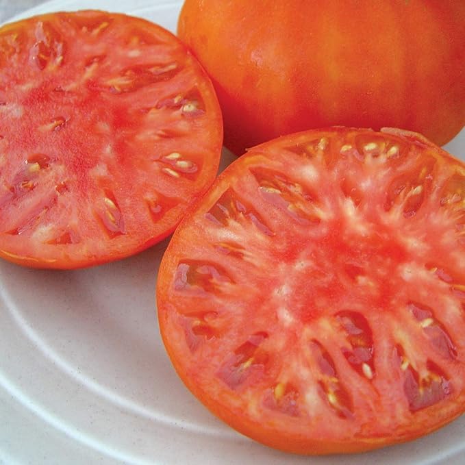 Burpee 'Brandywine Pink' Heirloom | Organic Beefsteak Slicing Tomato | 50 Seeds