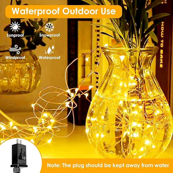 2Pack Each 33Ft 100 LED Fairy Lights Plug in with Remote, Waterproof String Lights Outdoor & Indoor, String Lights 8 Modes with Timer, Twinkle Light for Girl's Room Christmas Decorations (Warm White)