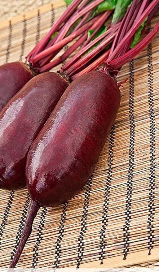 Seeds Beet Rival Beetroot Red Long Giant Vegetable Garden Heirloom for Planting Non GMO