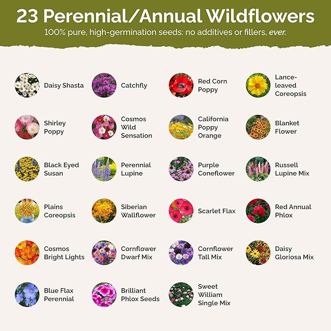 Eden Brothers Northeast Wildflower Mixed Seeds for Planting, 50 lb, 24,000,000+ Seeds with Cosmos, Candytuft, Shasta Daisy, Attracts Pollinators, Plant in Spring or Fall, Zones 3, 4, 5, 6, 7, 8, 9, 10
