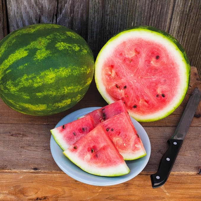 Organic Watermelon Seeds, APPR. 75, Crimson Sweet Watermelon, Heirloom Vegetable Seeds, Certified Organic, Non Hybrid, USA