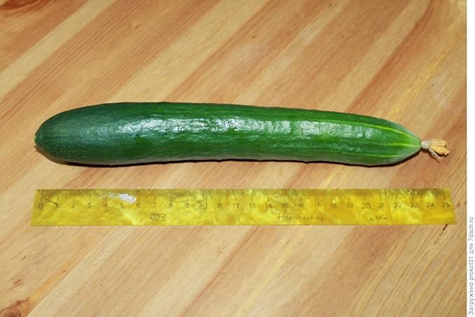 Cucumber Emilia F1 Long Giant Vine Self-pollinated Vegetable Hybrid Non-GMO for Planting