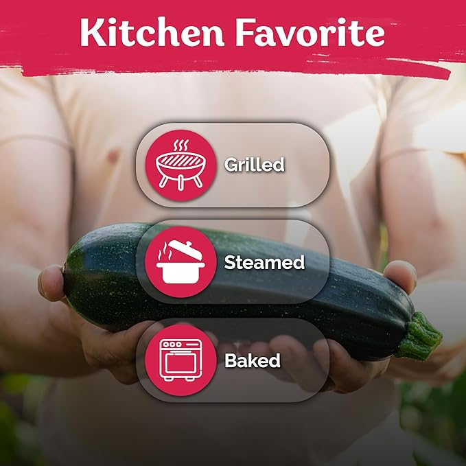 KVITER 50 Black Beauty Zucchini Seeds for Planting (Cucurbita Pepo) – Non-GMO Heirloom Vegetable Seeds, Open Pollinated – Summer Squash for Outdoors Planting in Garden, Raised Mounds, Containers