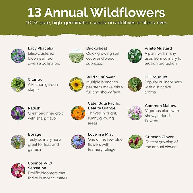 Eden Brothers Bee Happy Organic Wildflower Mixed Seeds for Planting, 1 lb, 480,000+ Seeds with Cosmos, Crimson Clover | Attracts Pollinators, Plant in Spring or Fall, Zones 3, 4, 5, 6, 7, 8, 9, 10