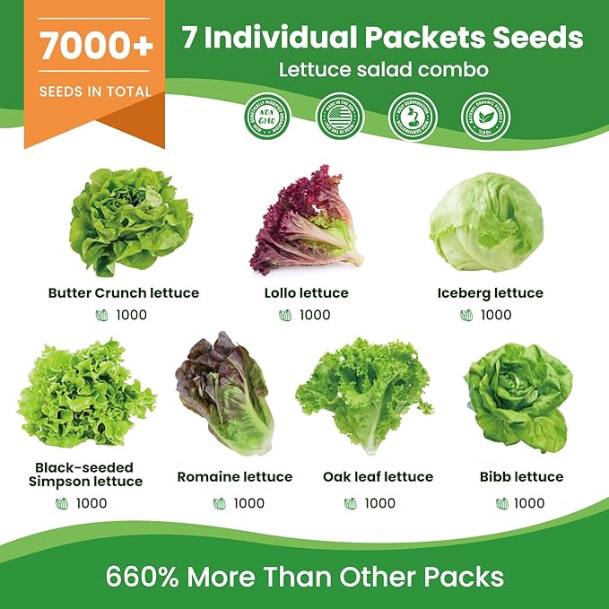 7000+ Organic Lettuce Seeds Collection - 7 Variety Heirloom Lettuce Mix Romaine, Iceberg Lettuce etc Non-GMO, Seeds for Planting Vegetable for Hydroponics or Garden (7 PCS)