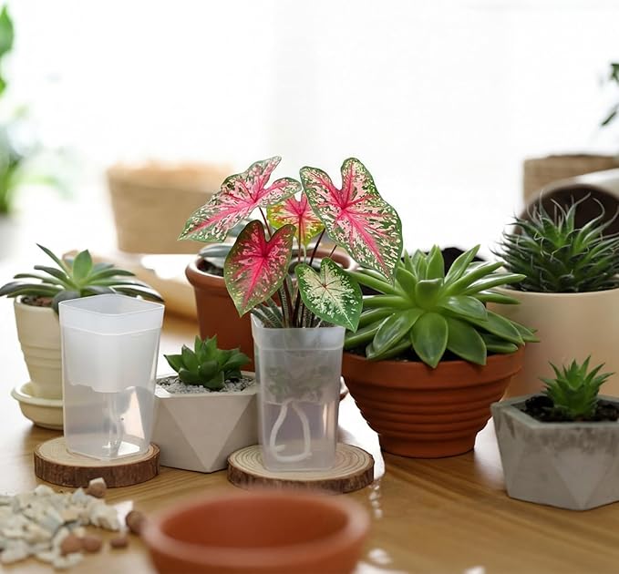 LemonRoad 20 Pack 2.5" Small Self Watering Pots for Indoor Plants with 20 Plant Label Mini Clear Plastic Planters with Water Level and Drainage Holes for Propagation, Succulents, and African Violet