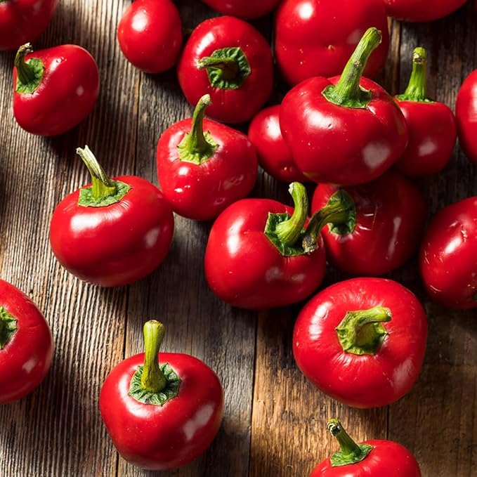 Seeds Red Hot Cherry Pepper Vegetable for Planting Heirloom Non GMO