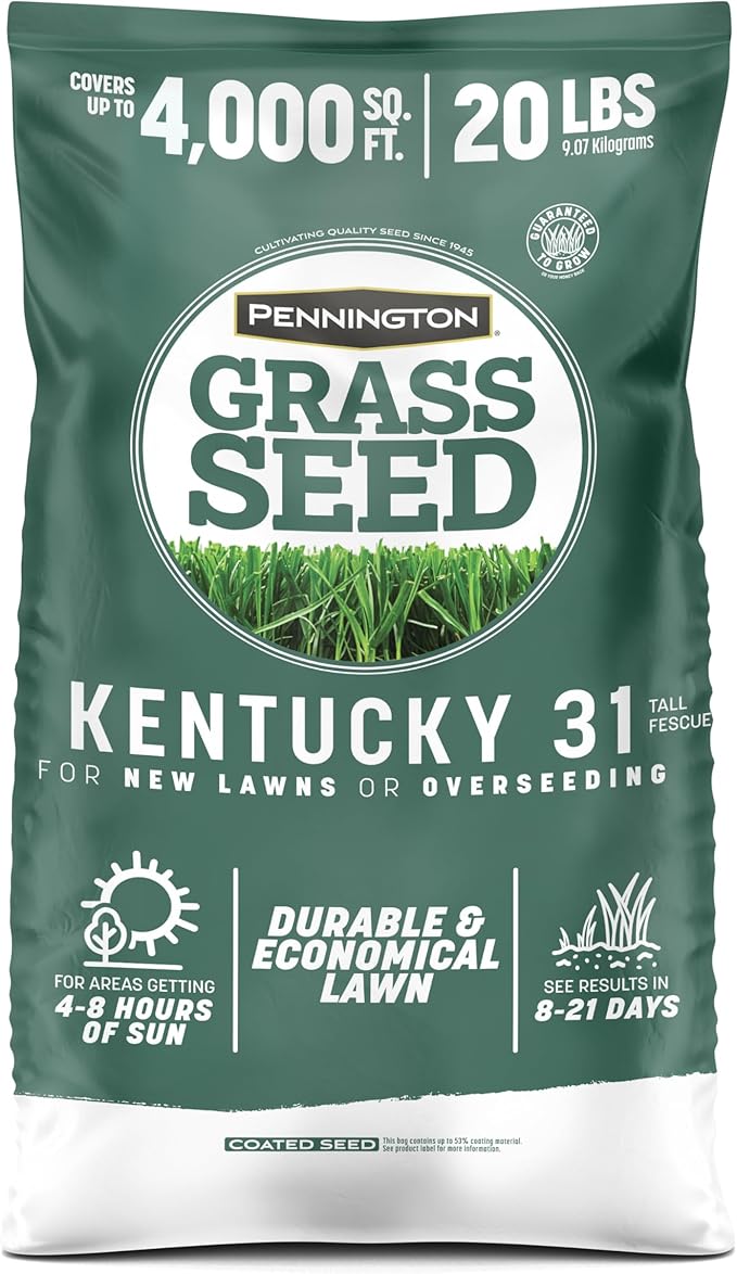 Pennington Kentucky 31 Tall Fescue Grass Seed 20 lb