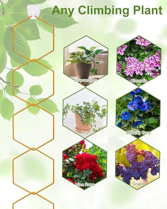 18 Pcs Chain Trellis for Climbing Plants, Potted Houseplant Accessories for Hoya, Ivy, Monstera, 6-Corner DIY Wall Trellis Plant Support with Hooks and Ties Indoor Outdoor(Gold)