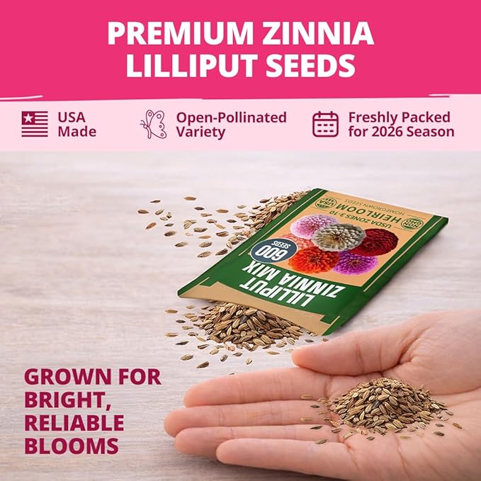 HOME GROWN Zinnia Lilliput Mix Flower Seeds – 600 Seeds (4g) Zinnia elegans – Colorful Dwarf Zinnia Seed Mix for Planting Spring 2026 for Garden Beds, Containers & Cut Flowers, Easy Grow Zinnia Seeds