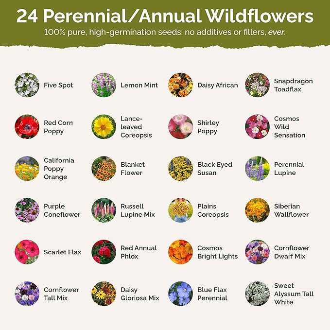 Eden Brothers North Carolina Wildflower Mixed Seeds for Planting, 5 lb, 2,400,000+ Seeds with Cornflower, African Daisy | Attracts Pollinators, Plant in Spring or Fall, Zones 3, 4, 5, 6, 7, 8, 9, 10