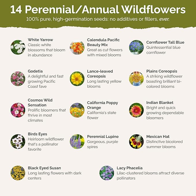 Eden Brothers Bird & Butterfly Wildflower Mixed Seeds for Planting, 10 lb, 4,800,000+ Seeds with Cosmos, Indian Blanket | Attracts Pollinators, Plant in Spring or Fall, Zones 3, 4, 5, 6, 7, 8, 9, 10