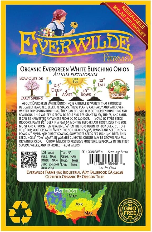 Everwilde Farms - 250 Organic Evergreen White Bunching Onion Seeds - Gold Vault Packet