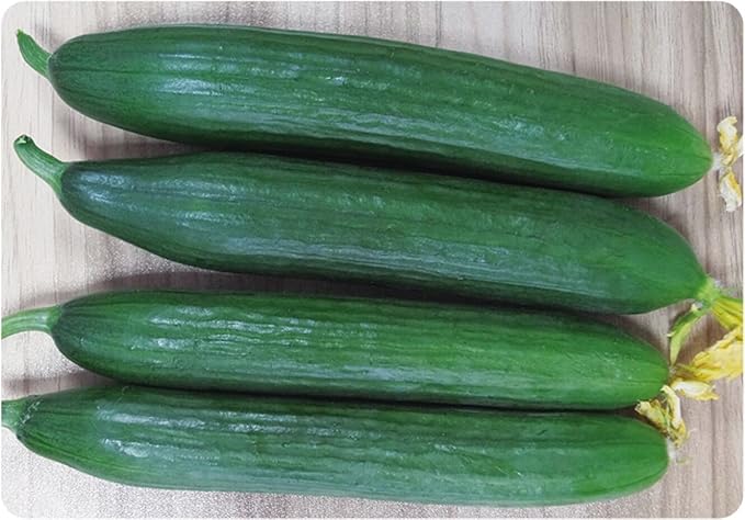 Seeds Vegetable Cucumber Chinese Long for Salads Without Bitterness for Pickling - 10 Seeds