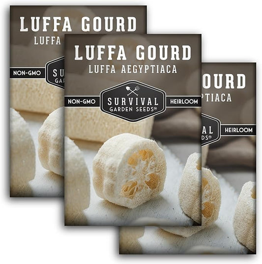 Survival Garden Seeds - Luffa or Loofah Seed for Planting - 3 Packets with Instructions to Plant and Grow Ornamental Gourds in Your Home Vegetable Garden - Non-GMO Heirloom Variety