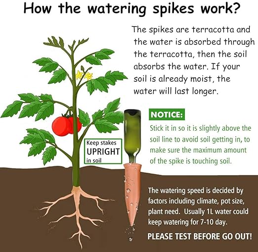 Plant Watering Devices 6 Pack Terracotta Vacation Plant Waterer Wine Bottle Watering Stakes Slow Release Plant Watering Spikes Self Watering Devices for Indoor Outdoor Plants