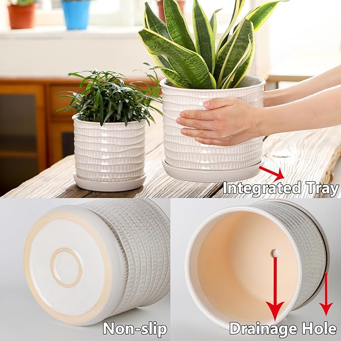 5.8 Inch Plant Pot: Ceramic Planter with Drainage Hole & Saucer for Indoor Outdoor Plants - Flowerpot with Bonded Tray for Home Office - Wave Embossed