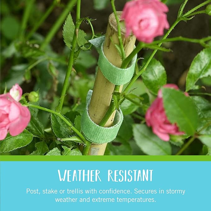 Velcro Brand Adjustable Plant Ties | 75 ft x 1/2 in Green Garden Tape | Reusable, Cut-to-Length Hook & Loop Plant Support for Staking, Training & Organizing Tomatoes, Vines, and Flowers