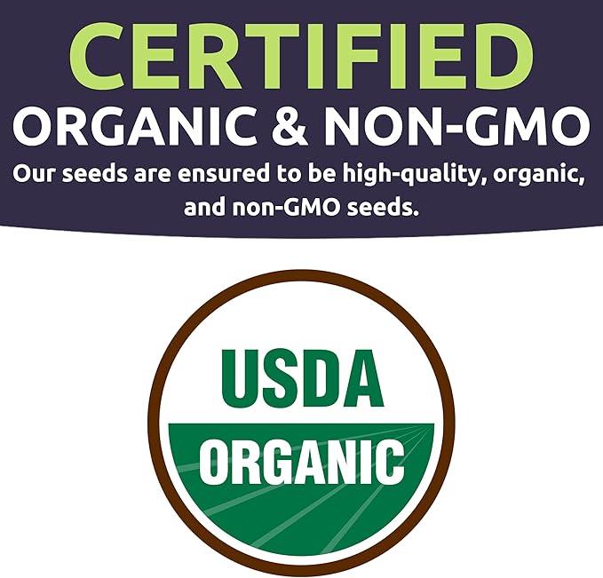 Organic Lacinato Kale Seeds - 2 Seed Packets! - Over 500 Open Pollinated Heirloom Non-GMO USDA Organic Seeds