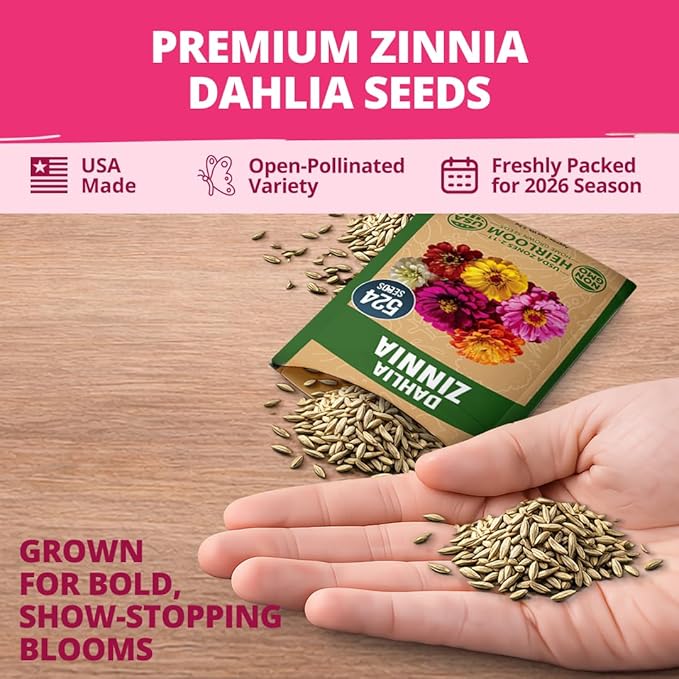 HOME GROWN Zinnia Dahlia Seeds Pack for 2026 Non GMO 524 Flower Seeds | Vibrant Zinnia Elegans for Pollinator Gardens, Borders & Containers | Easy-to-Grow Outdoor Blooms