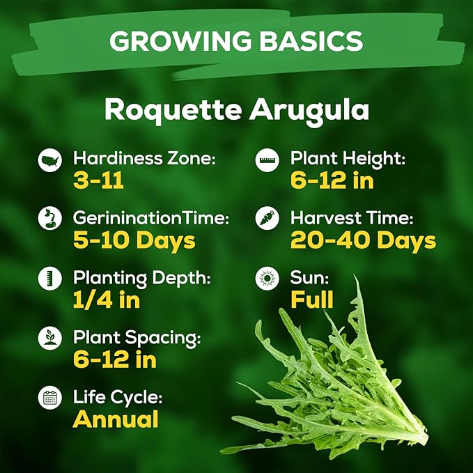 3000+ Heirloom Fruivity Arugula Seeds for Planting - Non-GMO Heirloom Seeds, Fast Growing, Cut-and-Come-Again, for Baby Greens, Hydroponic, Container & Outdoor Garden