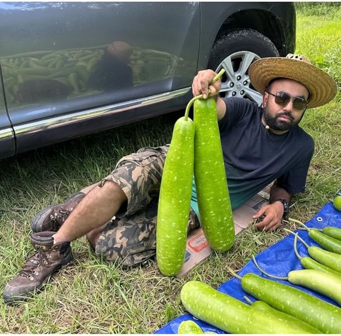 Bottle Gourd (Calabash) Nice Green Variety Seeds – High Yield Non-GMO Bangladeshi Lau (Lagenaria siceraria) | Long Smooth Gourd Seeds for Home Garden, Trellis, and Warm Climate (0.35 OZ (60+ Seeds))