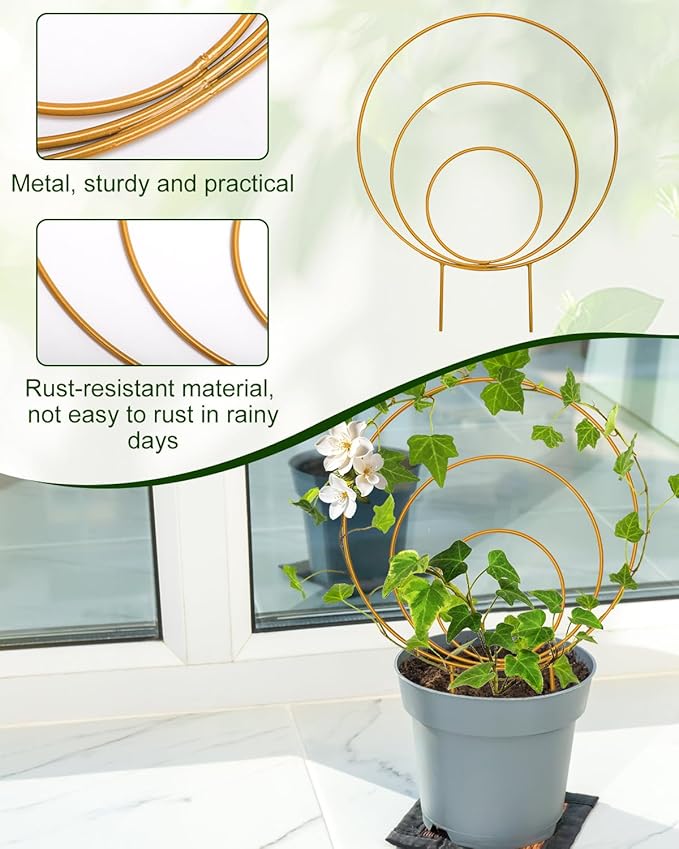 Unique Round Hoya Trellis, 3 Pcs Different Small Houseplant Trellis for Indoor Climbing Plant, Garden Trellis Plant Support for Potted Ivy and Flowers Outdoor(Gold)