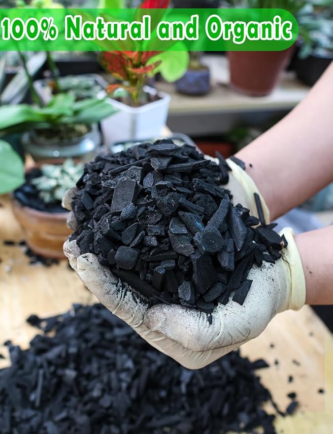TOYPOPOR Horticultural Charcoal for Indoor Plants (10 Quarts) Hardwood Potting Soil Amendment Helps Improve Drainage for Orchids, Succulent, Cactus, Terrariums, and Gardening