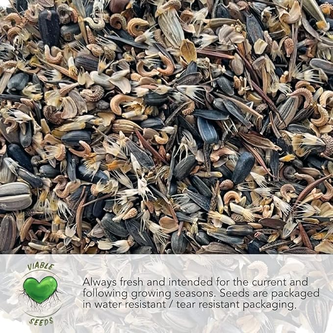Seed Needs Italian Herb Seed Packet Collection (5 Individual Seed Varieties for Planting) Non-GMO & Untreated - Oregano, Basil, Rosemary, Sage and Parsley