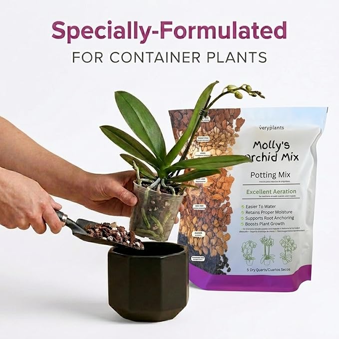 Molly's Orchid Potting Mix - Premium Gritty Soilless Orchid Mix - Chunky High Drainage vs Standard Potting Soil for Indoor Plants - Contains Bark, Coco Chips, Akadama, Pumice, Lava Rock 5 Dry Quarts