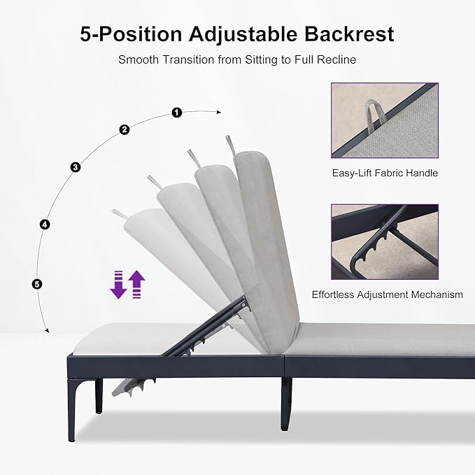 PURPLE LEAF Outdoor Chaise Lounge Set of 2 Aluminum Adjustable Patio Lounger Chairs with Cushions Reclining Beach Daybed for Poolside Balcony Deck Backyard, Dark Grey
