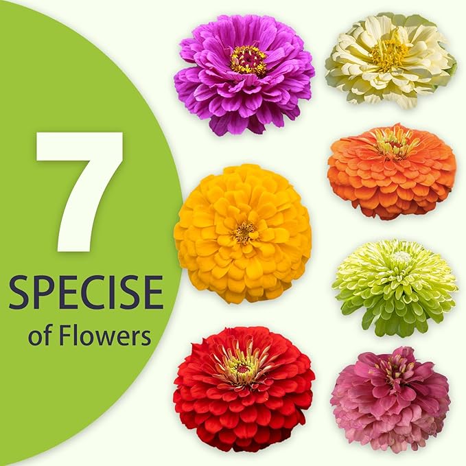 Zinnia Seeds Bulk 20,000+ | Outdoor Flower for Planting |Giant Zinnia Seeds for 2026 Bulk| Mixed Colors & Large Blooms for Gardens| High Germination, Beginner-Friendly