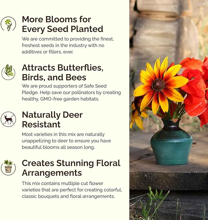 Eden Brothers North Carolina Wildflower Mixed Seeds for Planting, 1 oz, 30,000+ Seeds with Cornflower, African Daisy | Attracts Pollinators, Plant in Spring or Fall, Zones 3, 4, 5, 6, 7, 8, 9, 10
