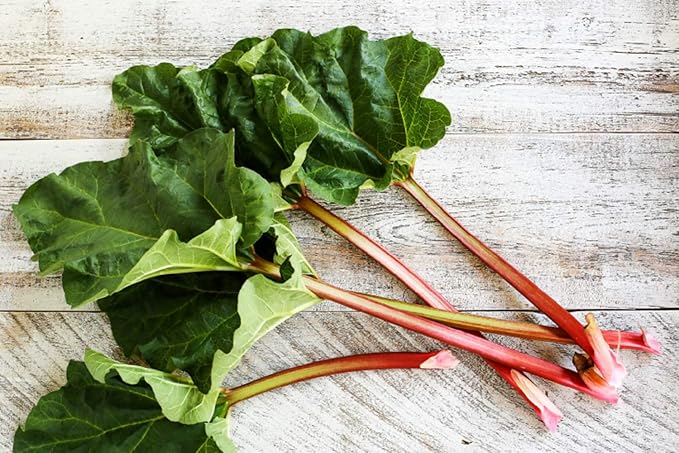Rhubarb Seeds Rare Heirloom Vegetable for Planting Giant Non GMO 30 Seeds