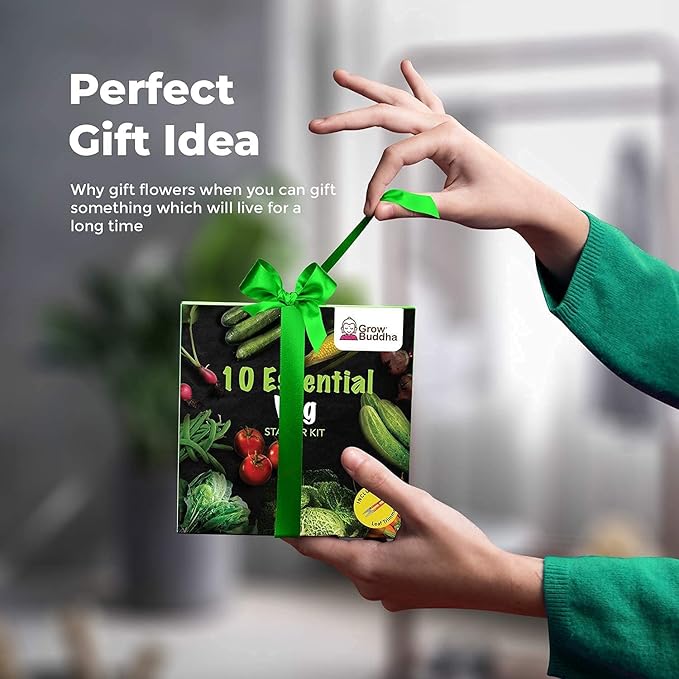 Vegetable Seeds Gift Set - Easily Grow Your Own 10 Vegetable Seeds Starter Kit | Beginner Friendly Vegetable Grow Kit - Unique Gift Idea