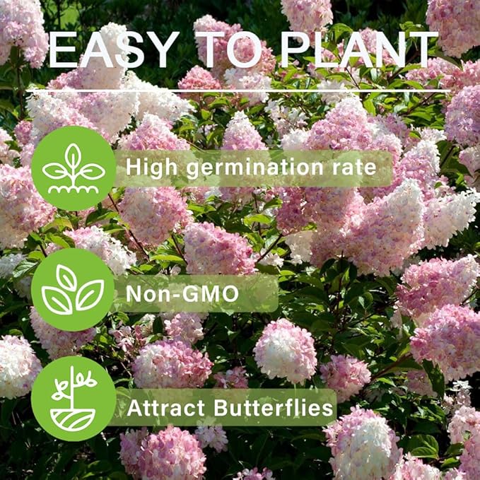 50+Vanilla Strawberry Hydrangea Geranium Flower Seed for Planting Outdoor Garden Home Attracts Bees Butterflies