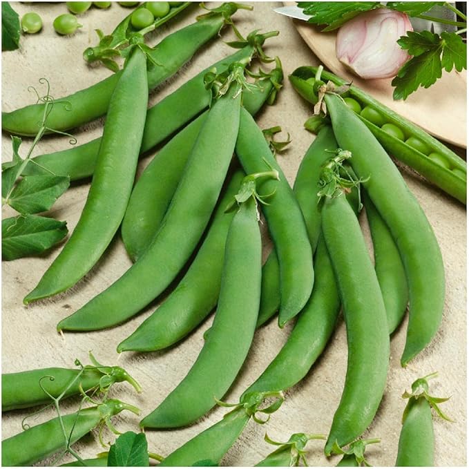 Everwilde Farms - 1 Lb Organic Sugar Daddy Pea Seeds - Gold Vault Packet