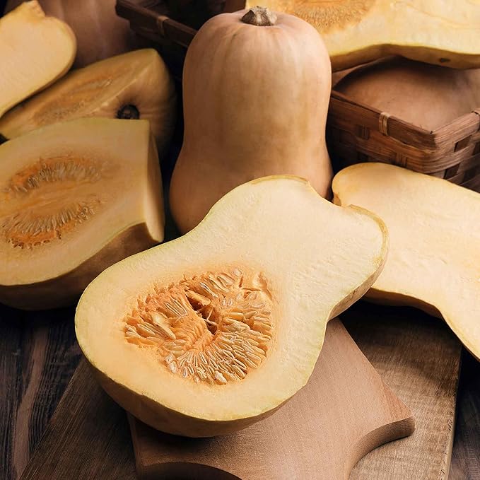 Eden Brothers Squash (Winter) Seeds - Honeynut Non-GMO Seeds for Planting, Packet | Low-Maintenance Vegetable Seeds, Plant During Warm Season, Zones 10, 3, 4, 5, 6, 7, 8, 9