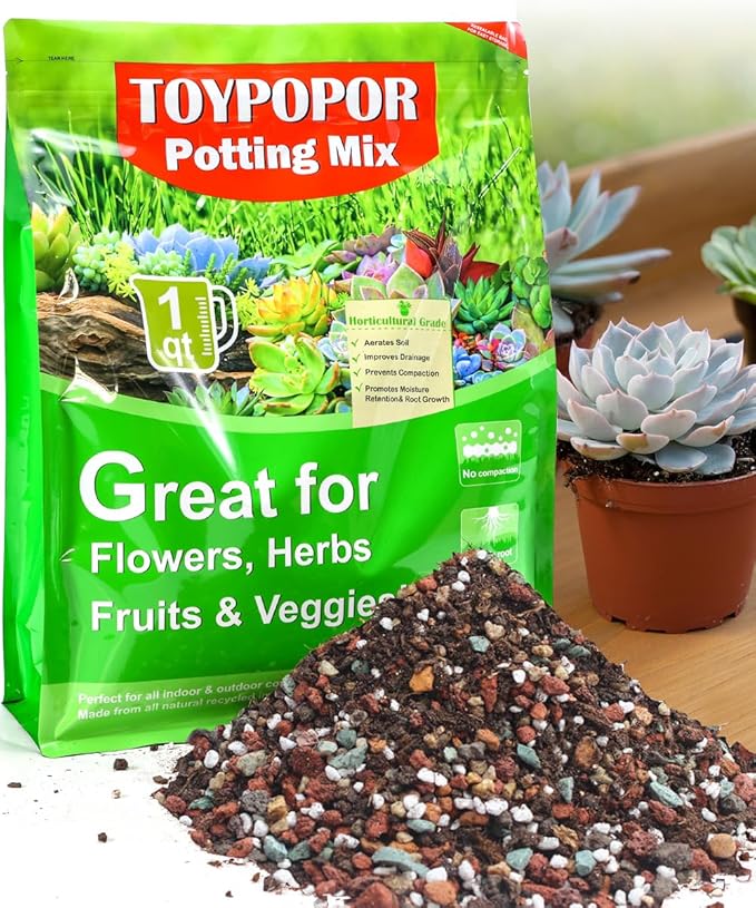 TOYPOPOR Succulent Soil, Cactus Potting Mix 2 Pounds/1 Quart, High Drainage, Pre-Mixed Ready to Use for All Succulent Varieties, Indoor Plants, Bonsai, Terrarium, Houseplant, 70% Particles 30% Soil