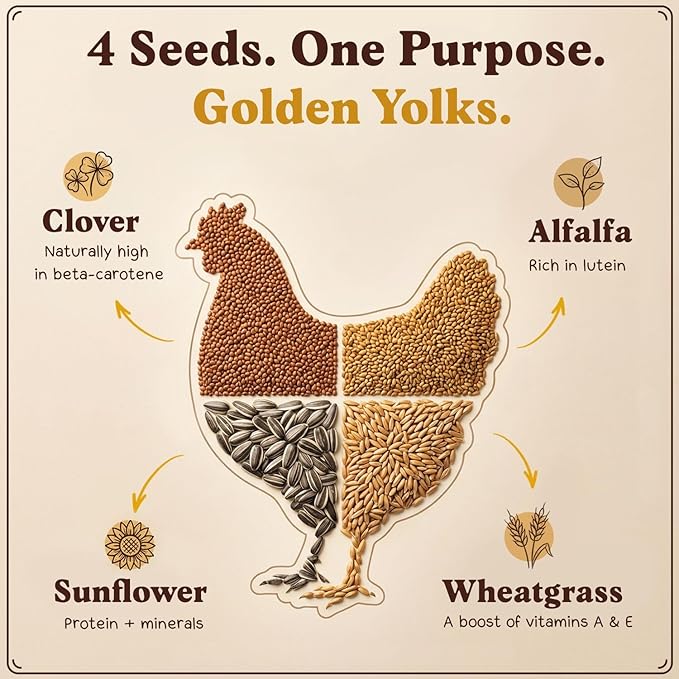 Seedboy Organic Non-GMO Microgreens Seeds for Chickens, Golden Yolk Blend - USA Grown Sprouting Mix with Alfalfa, Clover, Sunflower, Wheatgrass - 8 oz Bag
