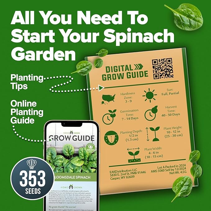HOME GROWN Bloomsdale Spinach Seeds 353+ Non GMO Heirloom Seeds for Planting, High Germination, Cold Tolerant, Dark Green Crinkled Leaves, Fast Growing, Hydroponic & Garden (Spinacia oleracea)