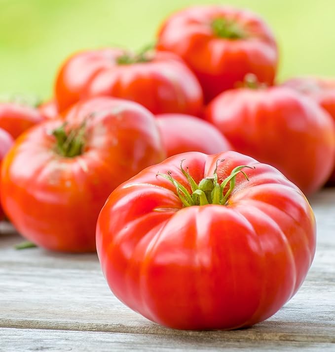 Burpee 'Mortgage Lifter' Heirloom, Beefsteak Tomato, 125 Non-GMO Seeds
