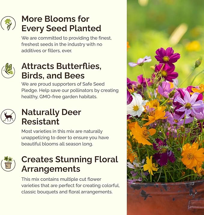 Eden Brothers Florida Wildflower Mixed Seeds for Planting, 5 lb, 2,400,000+ Seeds with Cornflower, Cosmos, African Daisy | Attracts Pollinators, Plant in Spring or Fall, Zones 3, 4, 5, 6, 7, 8, 9, 10