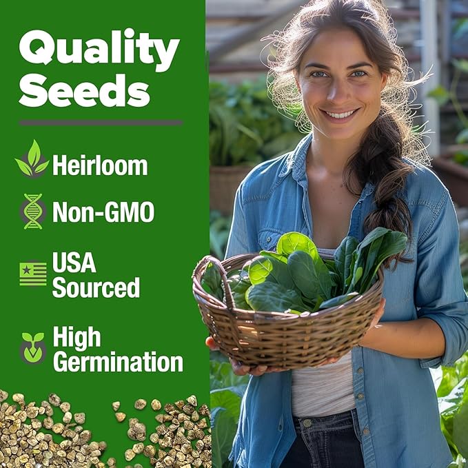 HOME GROWN Bloomsdale Spinach Seeds 353+ Non GMO Heirloom Seeds for Planting, High Germination, Cold Tolerant, Dark Green Crinkled Leaves, Fast Growing, Hydroponic & Garden (Spinacia oleracea)