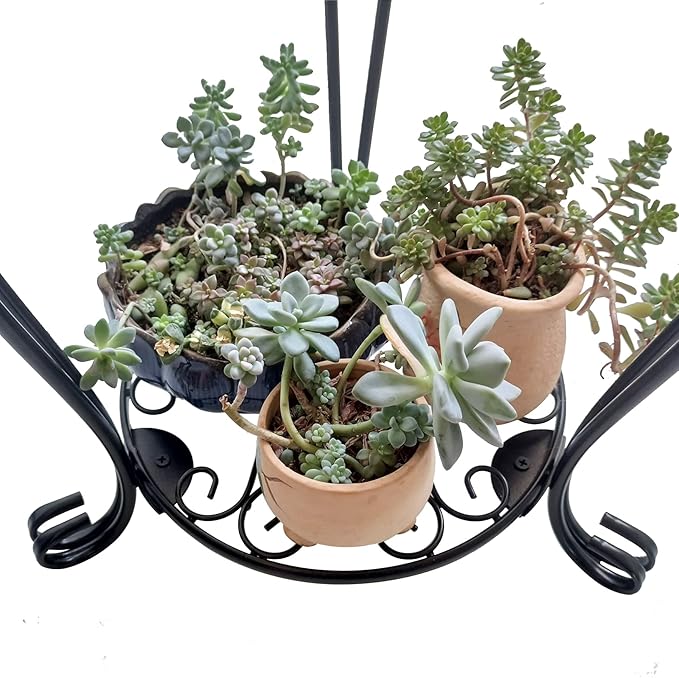 CASIMR 2 Tier Plant Stand, 19.2 inch Tall Metal Potted Holder Rack,Indoor Outdoor Multiple Flower Pot Shelf Rustproof Iron Garden Container for Garden Patio Living Room Corner Balcony, Black